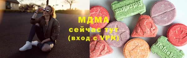 сатива Ельня