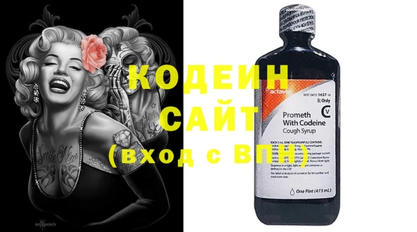 сатива Ельня
