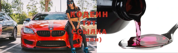сатива Ельня
