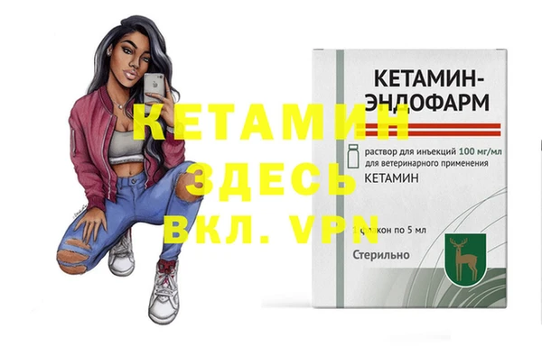 сатива Ельня