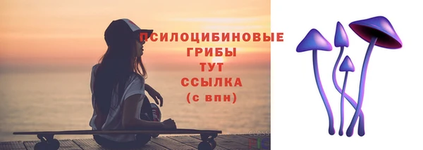 2c-b Елизово