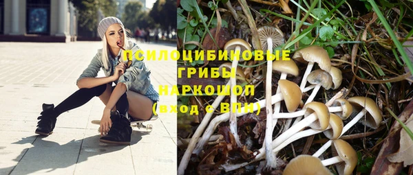 бошки Елабуга