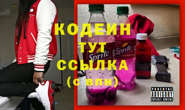 сатива Ельня