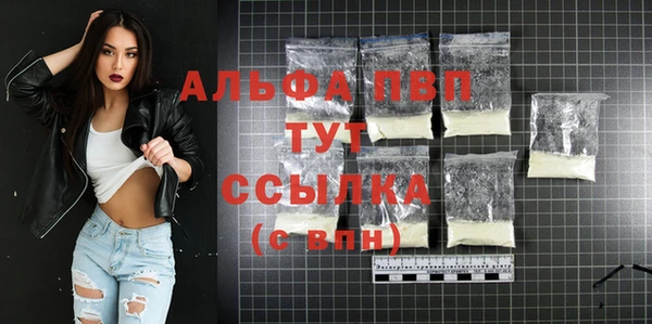 сатива Ельня