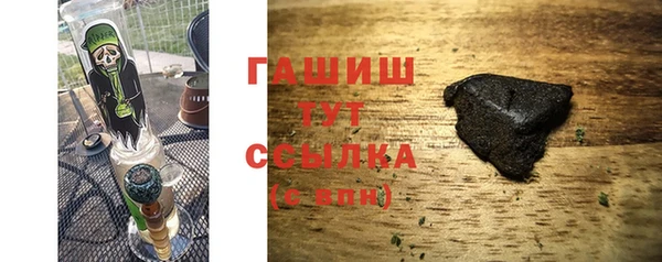 сатива Ельня