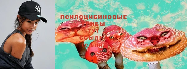 2c-b Елизово