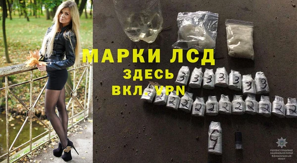 бошки Елабуга