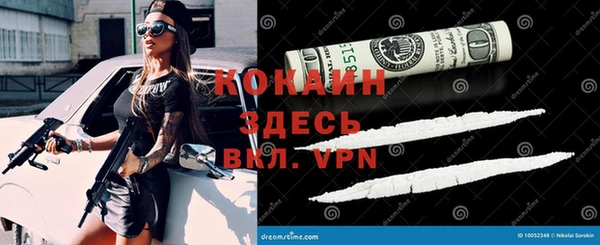 сатива Ельня