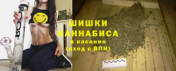 сатива Ельня